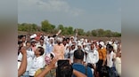 Despite ban, Indian farmers plant HTBT cotton; experts blame nexus between politicians, agro firms behind availability of illegal seed