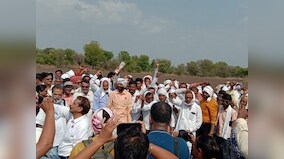 Despite ban, Indian farmers plant HTBT cotton; experts blame nexus between politicians, agro firms behind availability of illegal seed