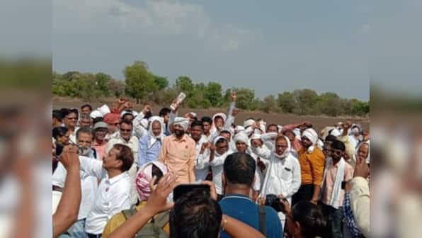 Despite ban, Indian farmers plant HTBT cotton; experts blame nexus between politicians, agro firms behind availability of illegal seed