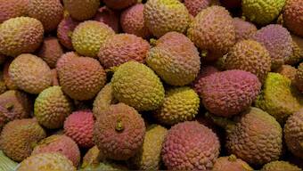 Encephalitis deaths in Bihar: Lychees can trigger brain fever infection, but the main cause is malnutrition, says expert