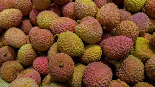Encephalitis deaths in Bihar: Lychees can trigger brain fever infection, but the main cause is malnutrition, says expert