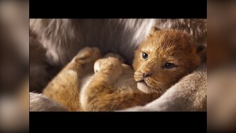The Lion King box office collection: Disney film makes Rs 127.32 cr over two weeks in India