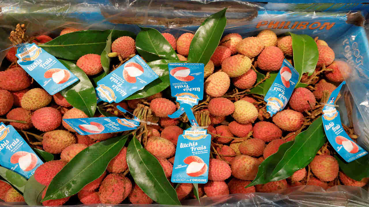 Fresh versus frozen foods Studies show the nutritional value of both