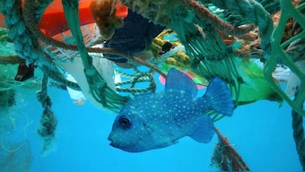 G20 Summit: Ministers agree on new framework to tackle plastic pollution in oceans