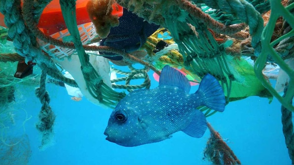 G20 Summit: Ministers agree on new framework to tackle plastic pollution in oceans