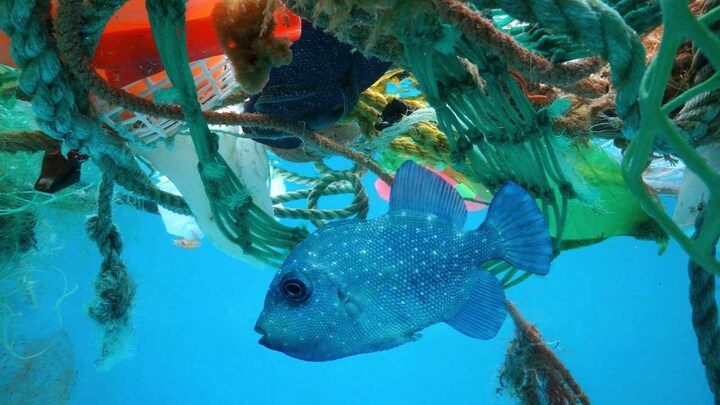 G20 Summit: Ministers agree on new framework to tackle plastic pollution in oceans