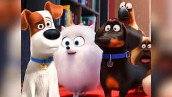 The Secret Life of Pets 2 movie review: Never a dull moment despite more misses than hits