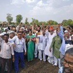 Maharashtra farmers' group agitates for 'freeing' GM seeds, but illegal varieties are rampant in India