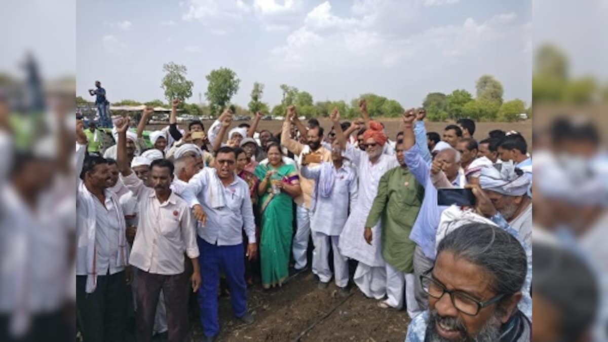 Maharashtra farmers' group agitates for 'freeing' GM seeds, but illegal varieties are rampant in India