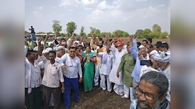 Maharashtra farmers' group agitates for 'freeing' GM seeds, but illegal varieties are rampant in India