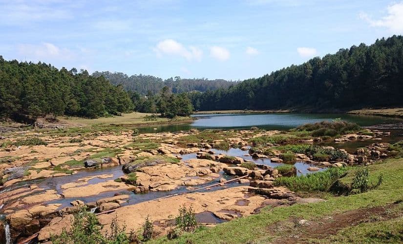 The image shows the vast vegetation on the Nilgiris mainly comprising of the pines with a lake between the mountain ranges. Photo credit: Ashay Mandwarya/Wikimedia Commons.