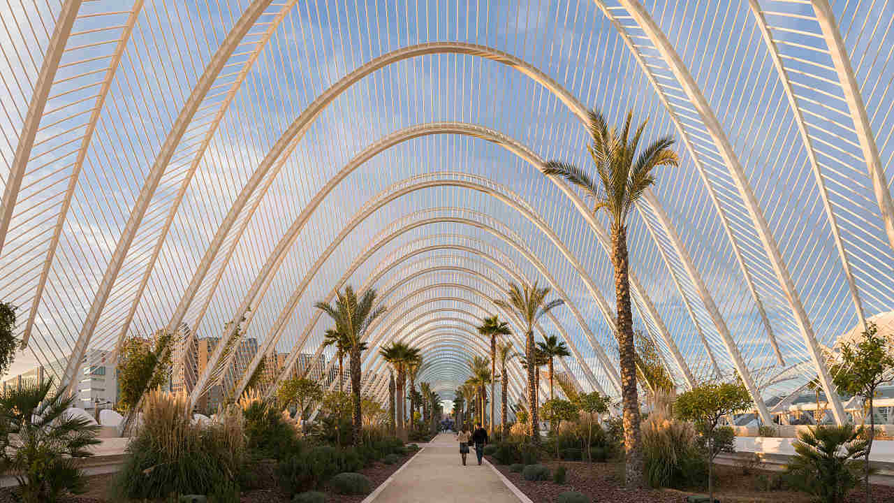 Farmers replace the pesticides with insects to protect crops in Spain's Sea of Plastic Farmers replace the pesticides with insects to protect crops in Spain's Sea of Plastic