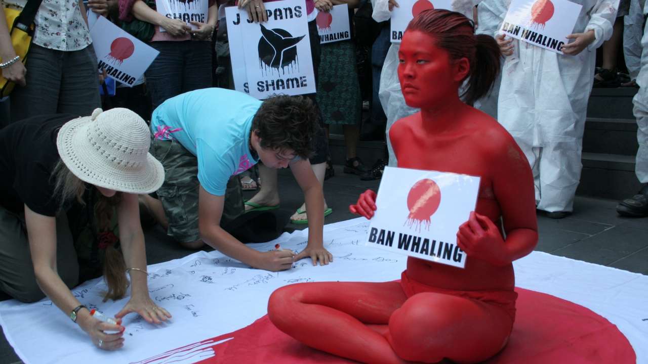 Japan exists IWC, resumes commercial whaling, catches first whale after 33 years ban