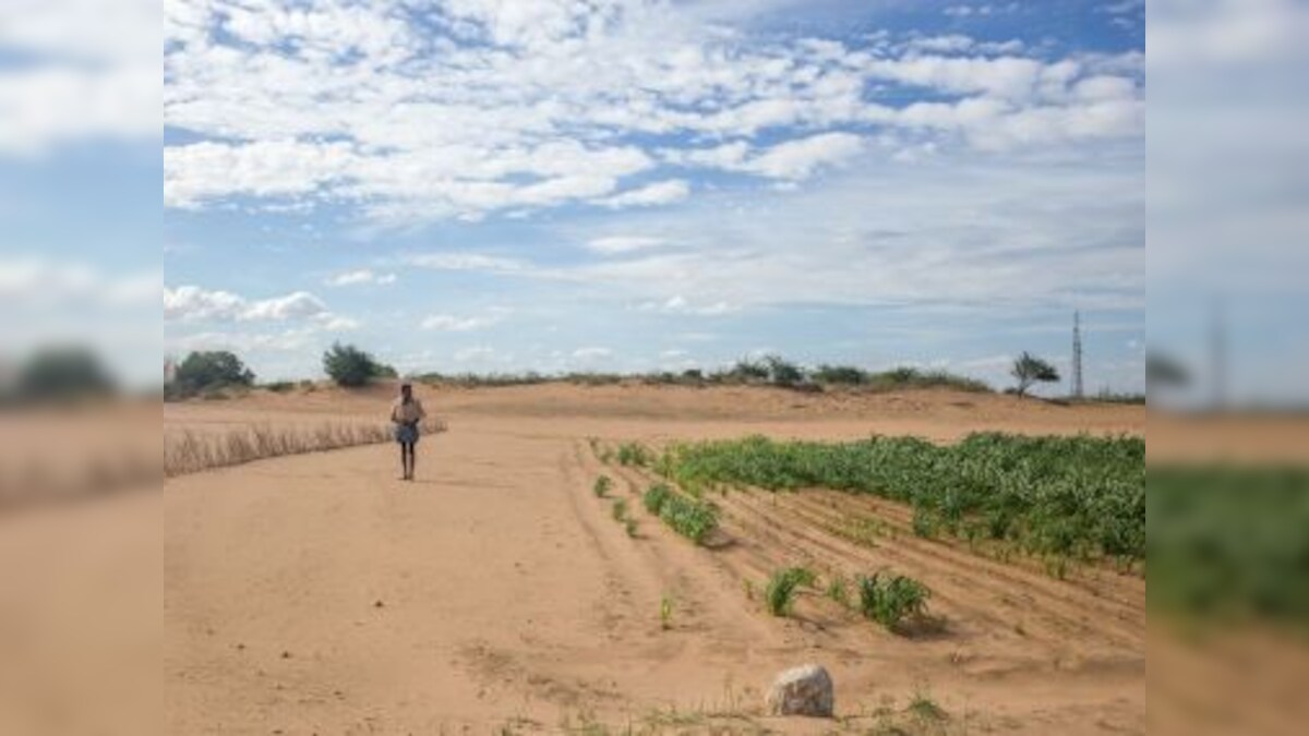 Raining sand in Rayalaseema: Andhra's Anantapur district shows dramatic effects of crop pattern changes, waning forest cover, proliferation of borewells