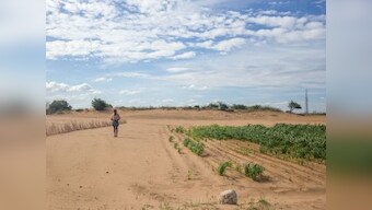 Raining sand in Rayalaseema: Andhra's Anantapur district shows dramatic effects of crop pattern changes, waning forest cover, proliferation of borewells
