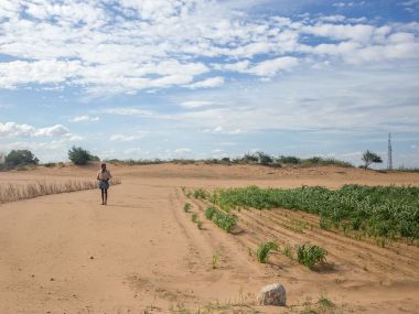Raining sand in Rayalaseema: Andhra's Anantapur district shows dramatic effects of crop pattern changes, waning forest cover, proliferation of borewells Raining sand in Rayalaseema: Andhra's Anantapur district shows dramatic effects of crop pattern changes, waning forest cover, proliferation of borewells