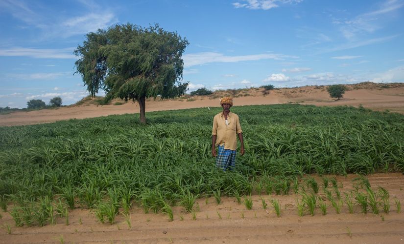 Raining sand in Rayalaseema: Andhras Anantapur district shows dramatic effects of crop pattern changes, waning forest cover, proliferation of borewells