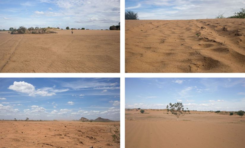 The sand is all pervasive, says M. Basha, another desert cultivator, ‘it comes into our homes; it gets into our food’. Bottom row: The only large forest in Anantapur now is the jungle of windmills on the horizon everywhere. Rahul M/People's Archive of Rural India