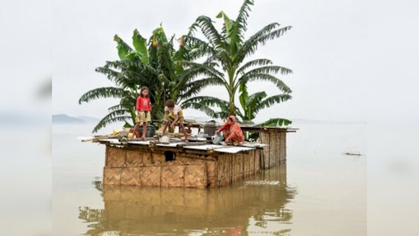 Assam floods: 90% of Kaziranga National Park submerged, 155 anti-poaching camps affected, says state govt