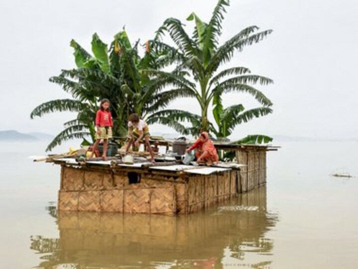Assam floods: 90% of Kaziranga National Park submerged, 155 anti-poaching camps affected, says state govt