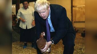 Boris Johnson reassures farmers that Brexit won't hurt economy even as pound slumps to lowest since March 2017