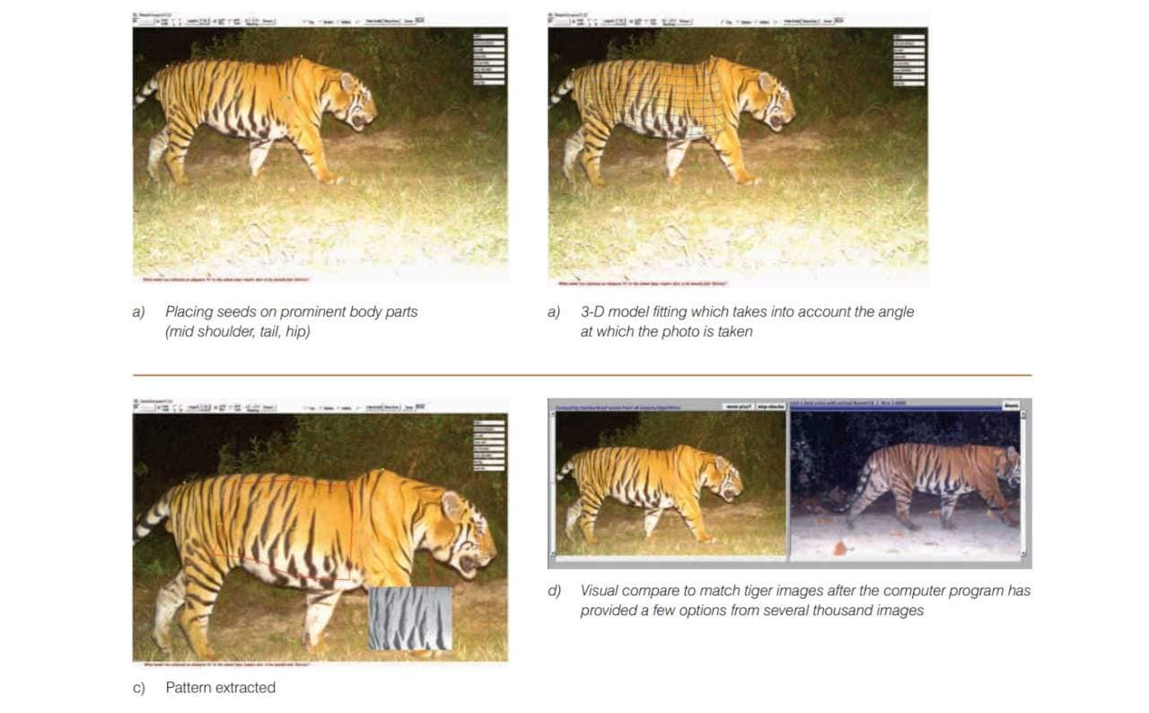 Camera Trap Images. Image: STI Report 2018