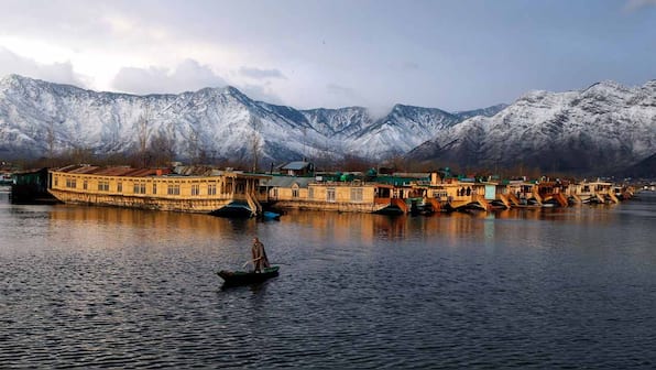 First Green Party of J&K launched by environmental lawyer with focus on preserving local forest and wildlife