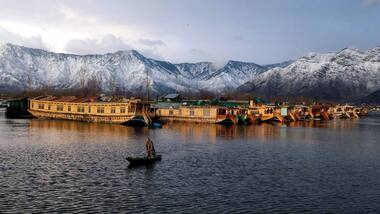 First Green Party of J&K launched by environmental lawyer with focus on preserving local forest and wildlife