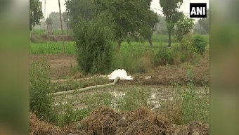 Deteriorating groundwater level force farmers in Delhi’s Mungeshpur to use toxic drain water for farming