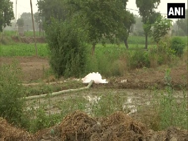 Deteriorating groundwater level force farmers in Delhi’s Mungeshpur to use toxic drain water for farming Deteriorating groundwater level force farmers in Delhi’s Mungeshpur to use toxic drain water for farming