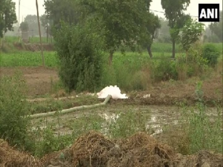 Deteriorating groundwater level force farmers in Delhi’s Mungeshpur to use toxic drain water for farming