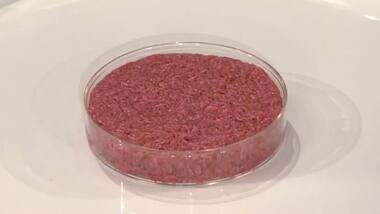 Lab-grown meat to hit markets at $10 patties six years after $280,000 burger introduced