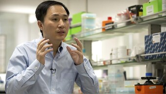 WHO calls ban on germline gene-editing research, clinical use of CRISPR in embryos