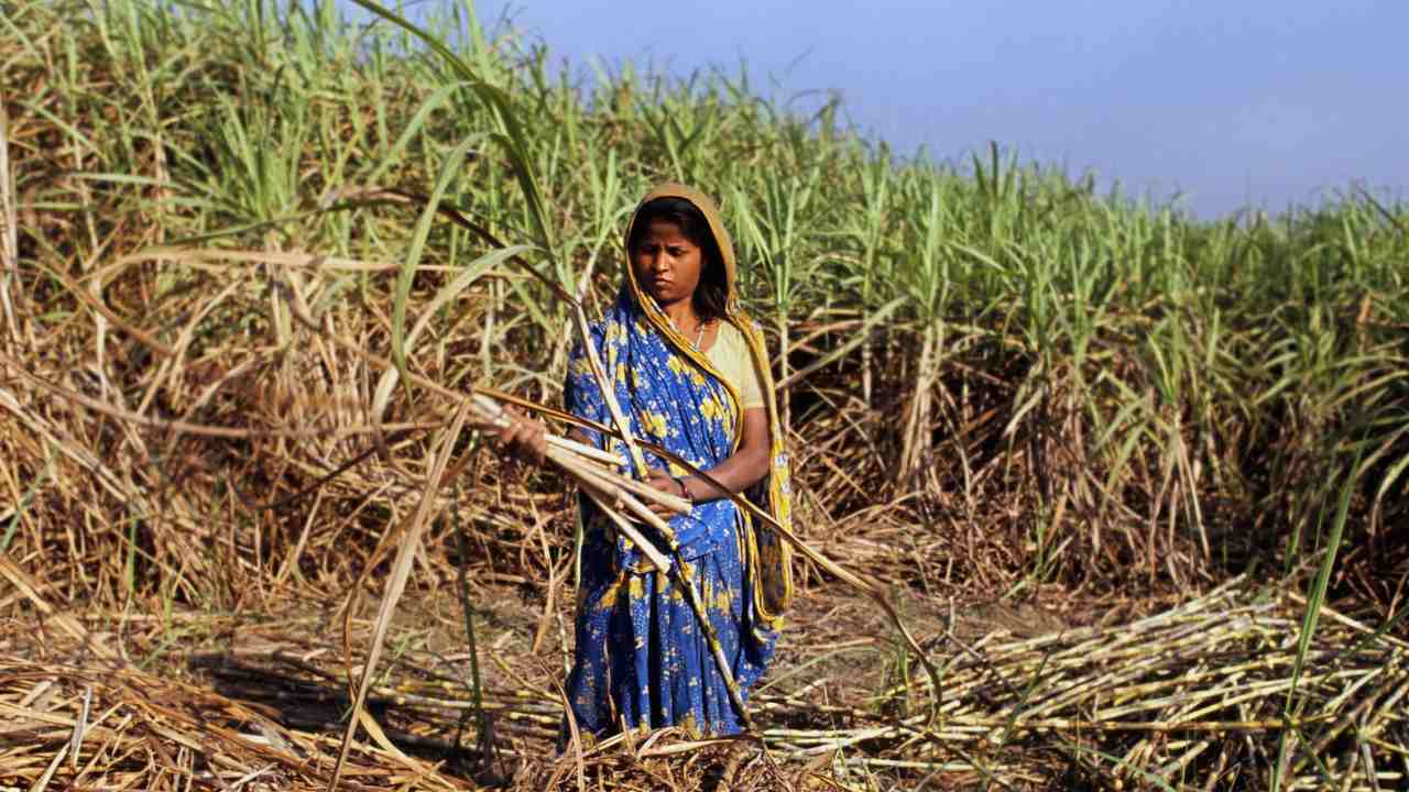 Private doctors are pushing women in India to undergo dangerous hysterectomies they don't really need Private doctors are pushing women in India to undergo dangerous hysterectomies they don't really need