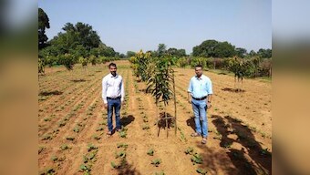 Jharkhand's focus on asset creation under MGNREGS impressive, but efficacy of mango farms in addressing poverty, migration doubtful