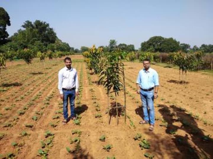 Jharkhand's focus on asset creation under MGNREGS impressive, but efficacy of mango farms in addressing poverty, migration doubtful