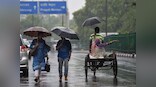 With 88.2 mm rainfall, Delhi records wettest January since 1950