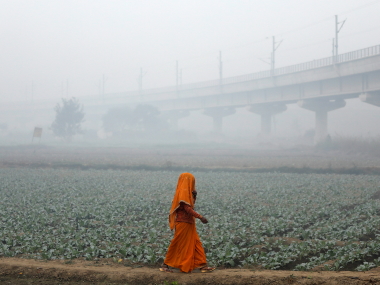 In real-life Man vs Wild contest in India, scales are heavily tilted in favour of former, to environment's detriment In real-life Man vs Wild contest in India, scales are heavily tilted in favour of former, to environment's detriment
