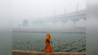 In real-life Man vs Wild contest in India, scales are heavily tilted in favour of former, to environment's detriment