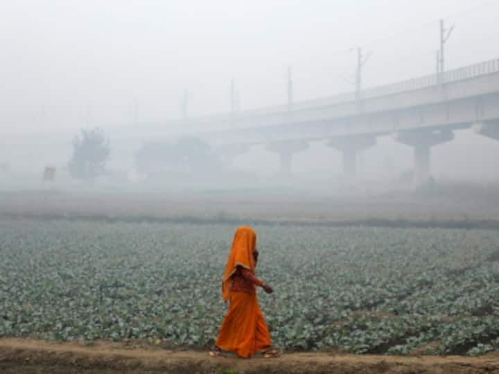 In real-life Man vs Wild contest in India, scales are heavily tilted in favour of former, to environment's detriment