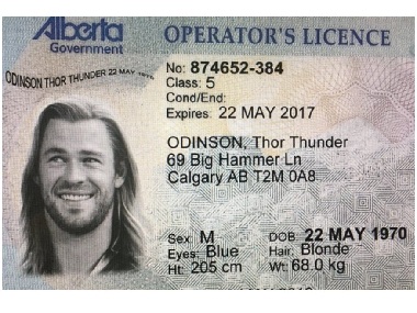 Canadian man produces fake id with Chris Hemsworth's photo to buy weed, says his name is Thor Thunder Odinson Canadian man produces fake id with Chris Hemsworth's photo to buy weed, says his name is Thor Thunder Odinson