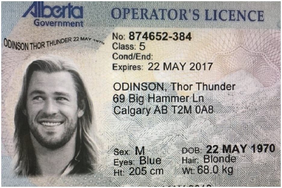 Rebel Fake Id