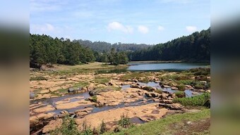 Voice of a Sentient Highland book review: Godwin Vasanth Bosco provides a much-needed voice for the Nilgiris