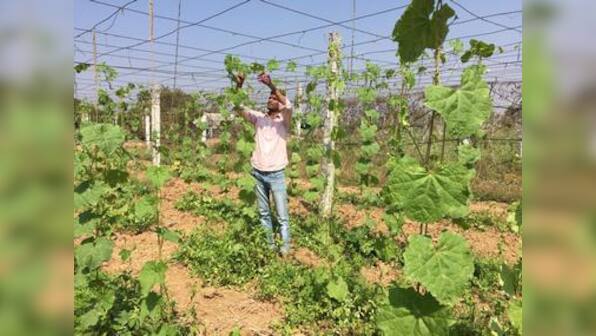 Despite environmental benefits, experts doubt efficacy of zero budget natural farming, call for nation-wide scientific studies