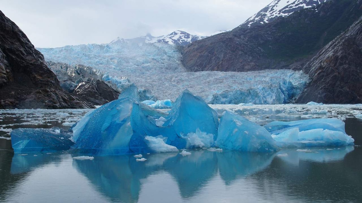 Microbes in the Tundras could blow the roof off global warming with their emissions