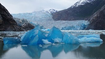 Microbes in the Tundras could blow the roof off global warming with their emissions