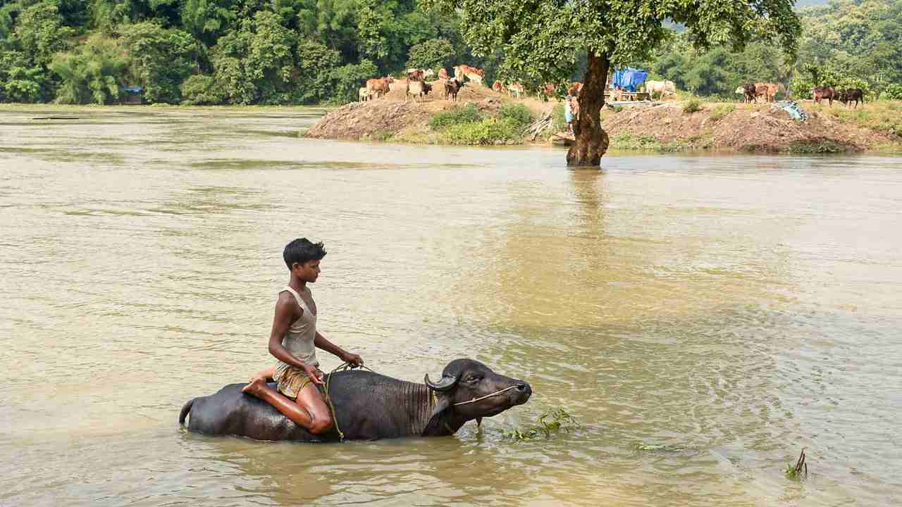 Floods in Assam. Representational image.