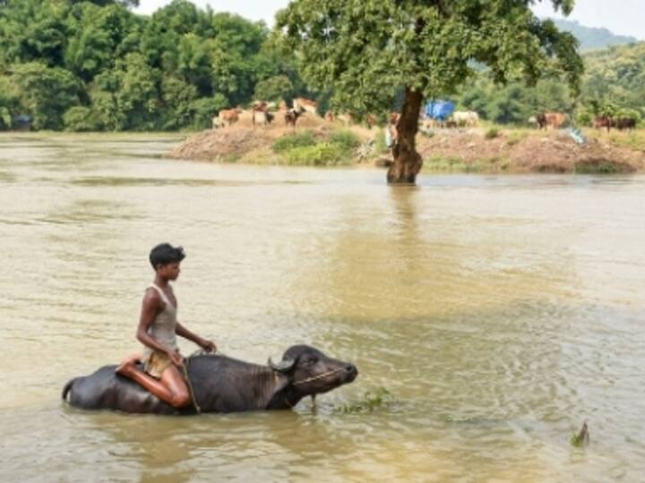 Toll in Assam floods rises to 27: Deluge grips state every monsoon; policy intervention need of the hour