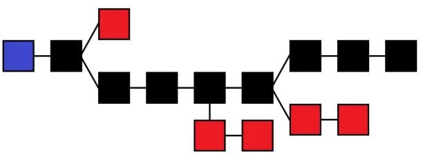 The main chain (black) consists of the longest series of blocks from the genesis block (blue) to the current block. Orphan blocks (red) exist outside of the main chain.