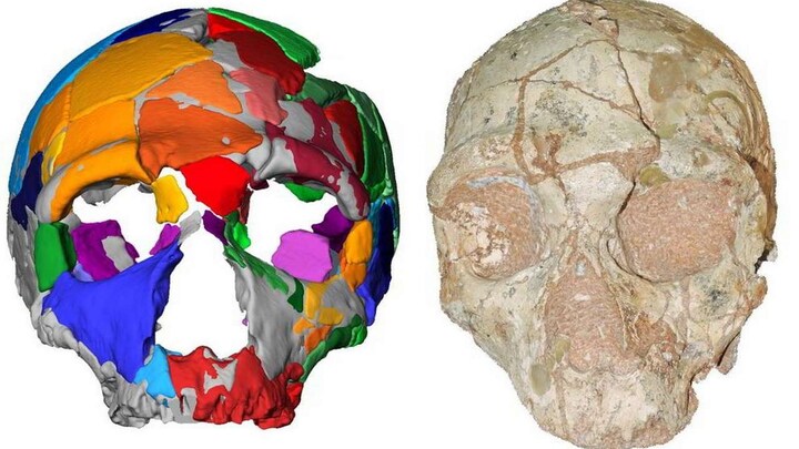 A chunk of skull found in Greece is the earliest sign of humans outside of Africa